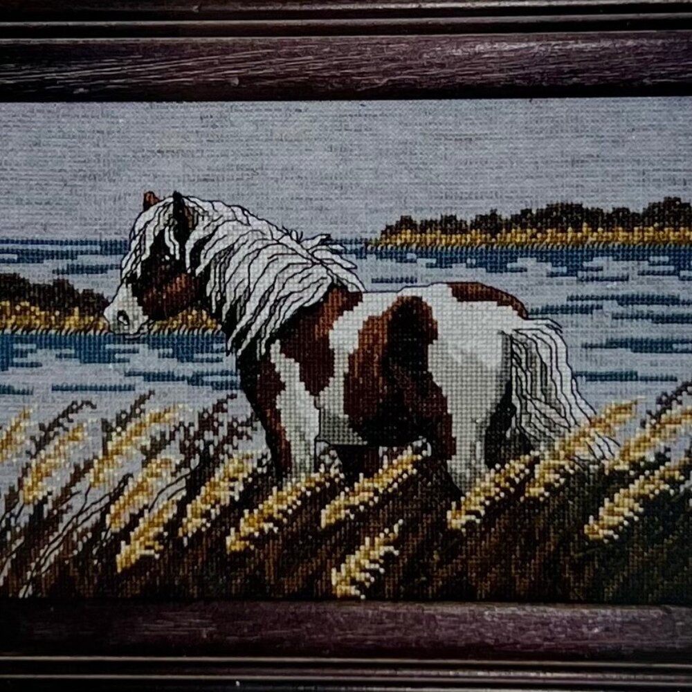 Cross Stitch Kits (2) 1996 Jeanette Crews Designs Pinto and Race the Wind - READ - Picture 4 of 7